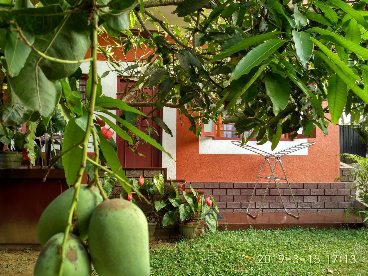 Nilas Guesthouse Hikkaduwa Extérieur photo